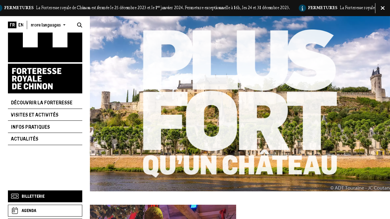 Capture d'écran de http://www.forteressechinon.fr/